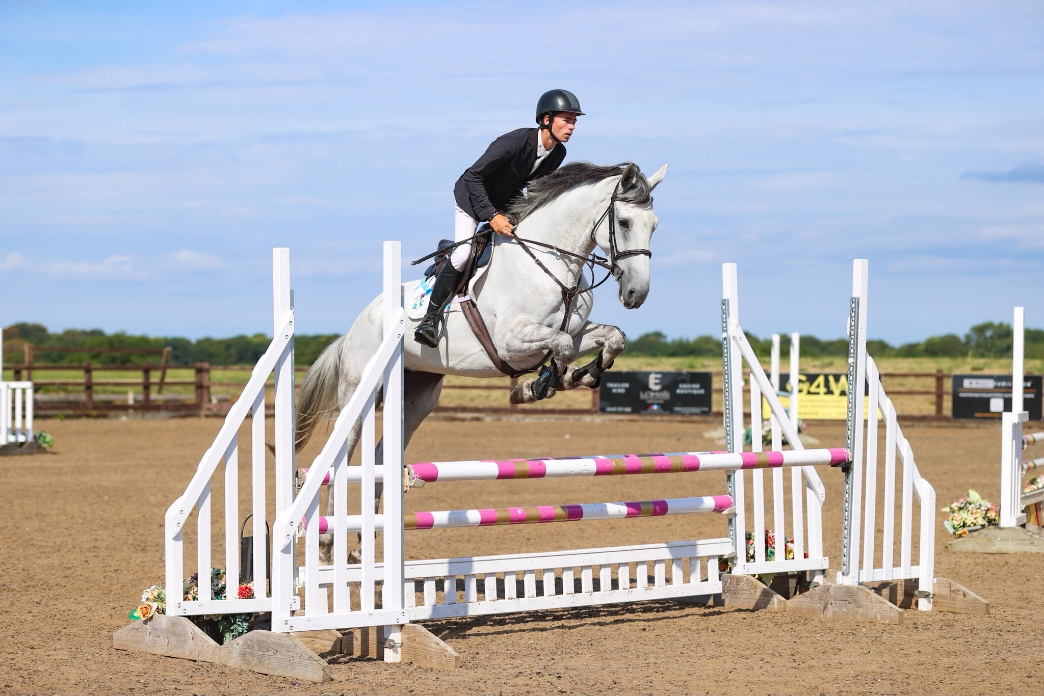 Talented Showjumper - Grey Mare - 5yrs