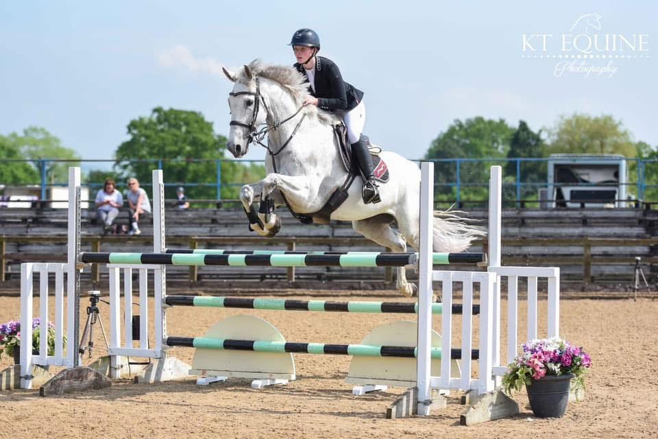 Experienced Showjumper 