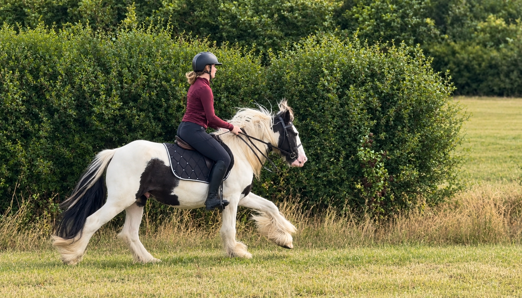 Mother's Dream/Happy hacker/Low Level All Rounder