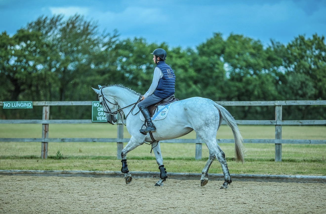 Talented Showjumper - Grey Mare - 5yrs - Image 1