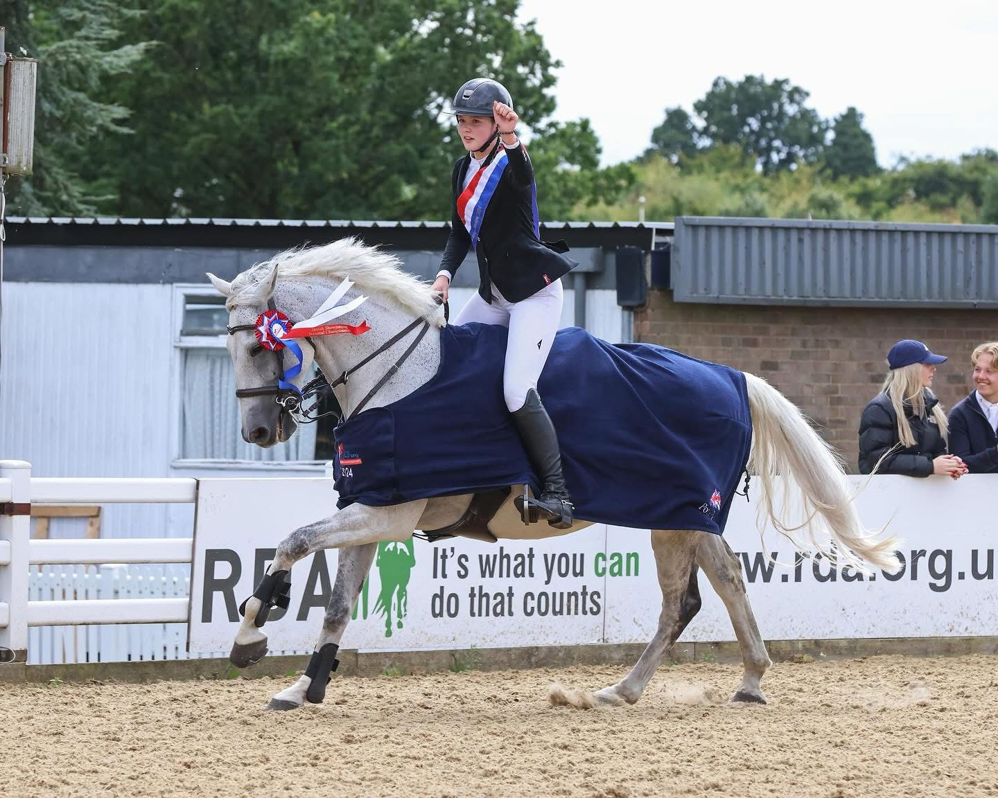 Experienced Showjumper  - Image 2
