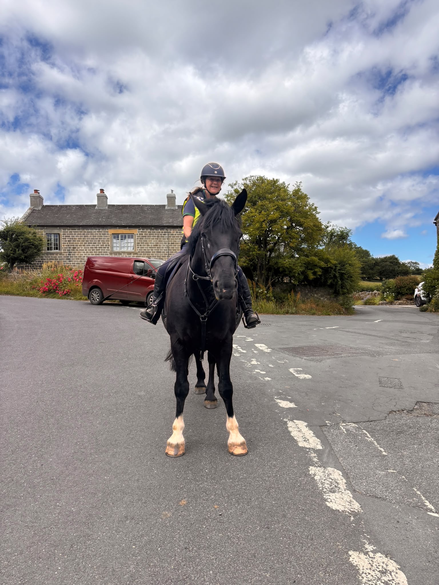Black Irish Draught Mare  - Image 2
