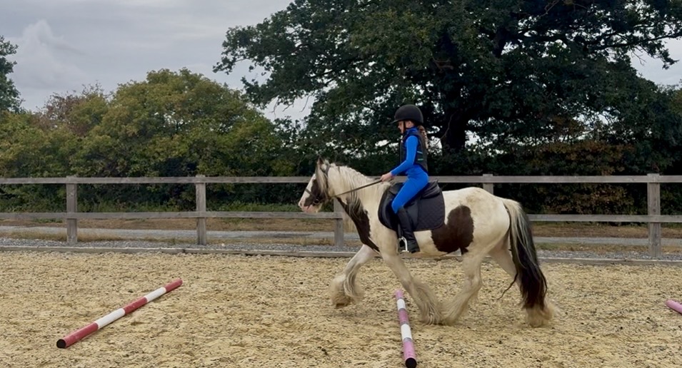 Mother's Dream/Happy hacker/Low Level All Rounder - Image 2