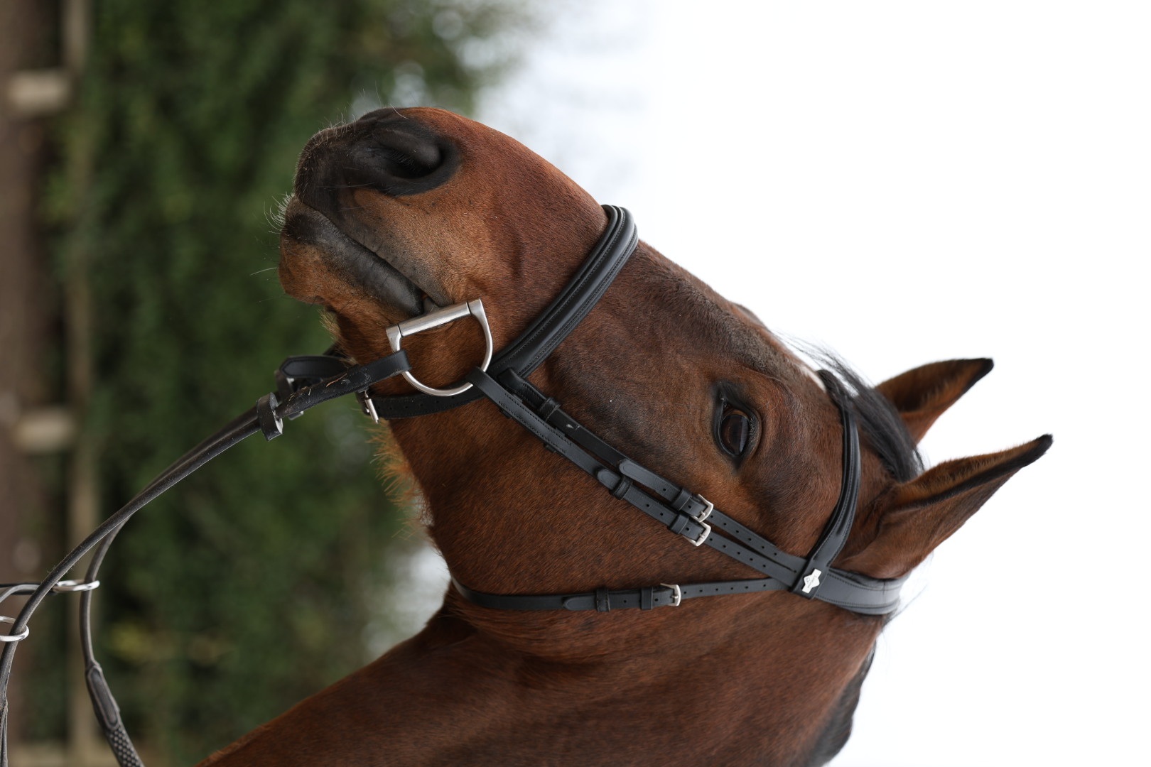 Testing listing  - Image 1